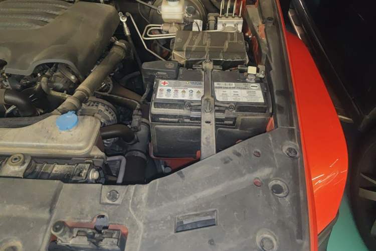 Used Tank 300 2021 City Edition 2.0T My Vision Model Engine Bay Left