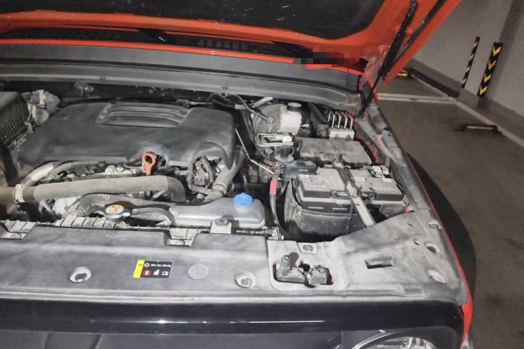 Used Tank 300 2021 Off-Road Edition 2.0T Conqueror Engine Bay Left