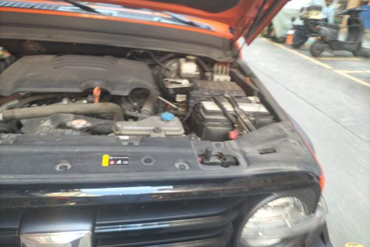 Used Tank 300 2021 Off-Road Edition 2.0T Conqueror Engine Bay Left
