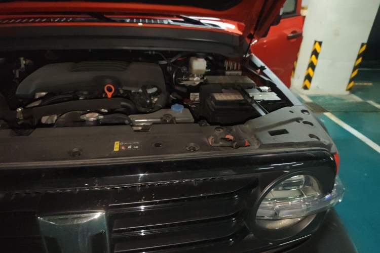 Used Tank 300 2021 Off-Road Edition 2.0T Conqueror Engine Bay Left