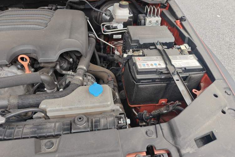 Used Tank 300 2021 Off-Road Edition 2.0T Conqueror Engine Bay Left
