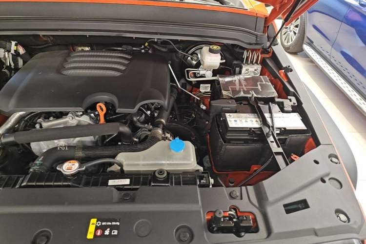 Used Tank 300 2021 Off-Road Edition 2.0T Conqueror Engine Bay Left