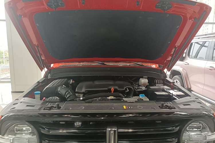 Used Tank 300 2021 Off-Road Edition 2.0T Conqueror Engine Bay