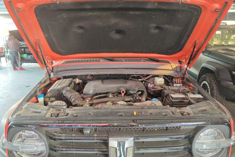 Used Tank 300 2021 Off-Road Edition 2.0T Conqueror Engine Bay