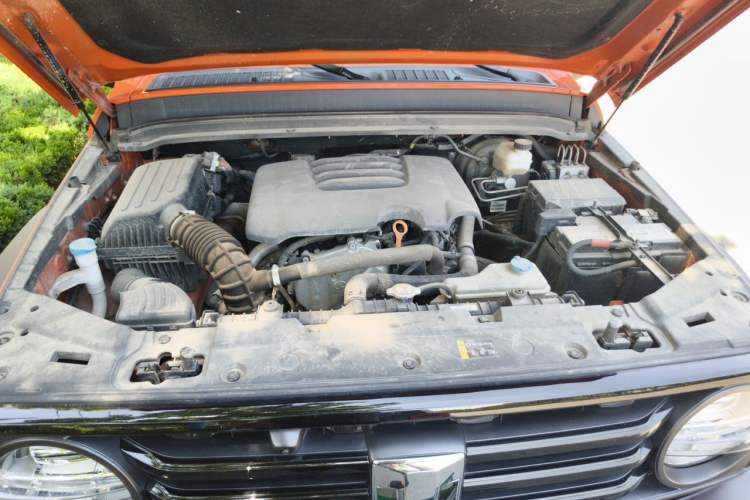 Used Tank 300 2021 Off-Road Edition 2.0T Conqueror Engine Bay