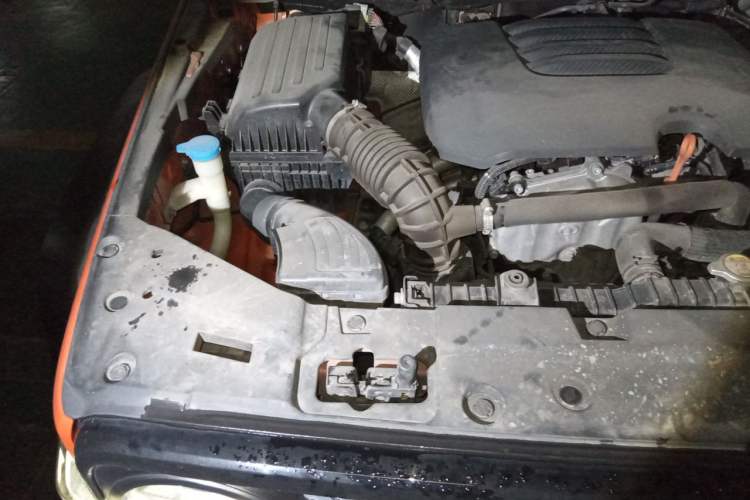 Used Tank 300 2021 Off-Road Edition 2.0T Conqueror Engine Bay Right