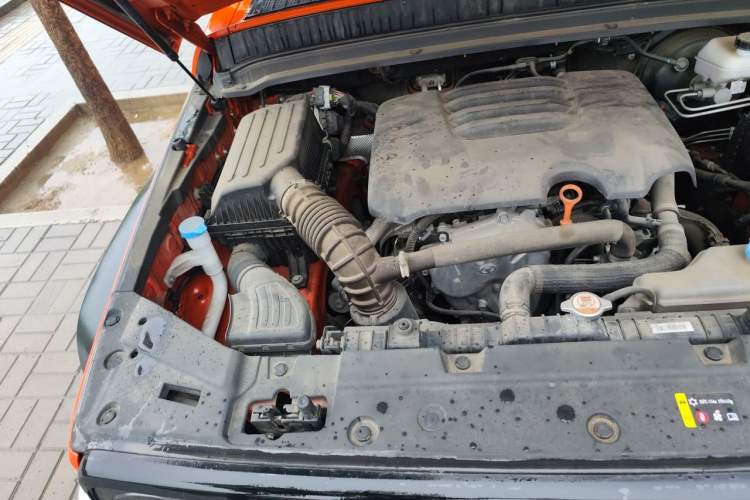 Used Tank 300 2021 Off-Road Edition 2.0T Conqueror Engine Bay Right