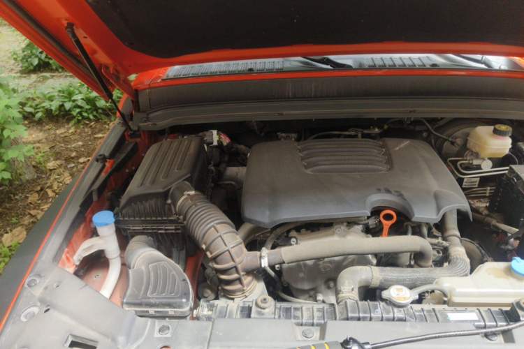 Used Tank 300 2021 Off-Road Edition 2.0T Conqueror Engine Bay Right