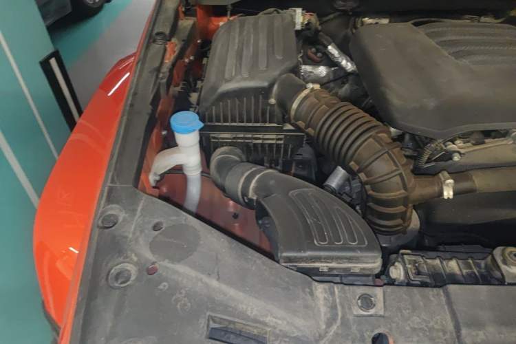 Used Tank 300 2021 City Edition 2.0T My Vision Model Engine Bay Right