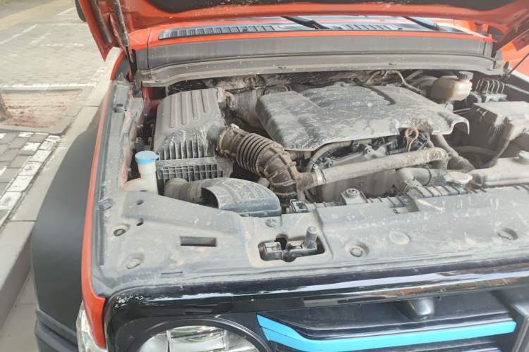 Used Tank 300 2021 Off-Road Edition 2.0T Conqueror Engine Bay Right