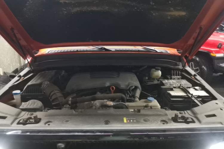 Used Tank 300 2021 Off-Road Edition 2.0T Conqueror Engine Bay