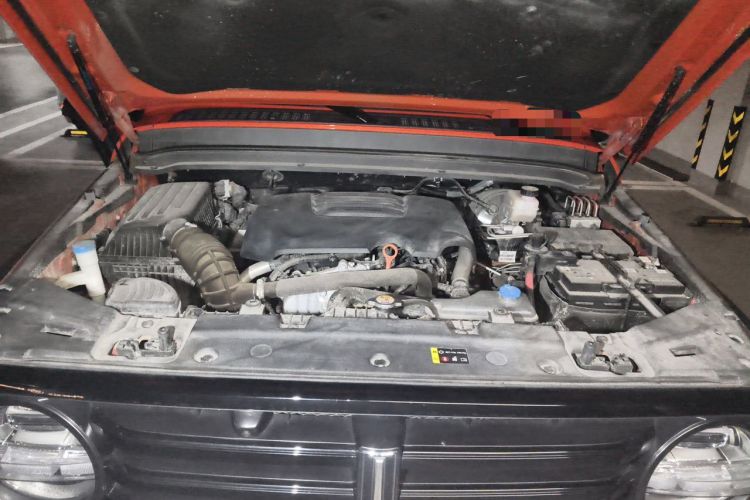 Used Tank 300 2021 Off-Road Edition 2.0T Conqueror Engine Bay