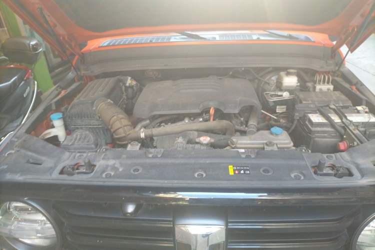 Used Tank 300 2021 Off-Road Edition 2.0T Conqueror Engine Bay