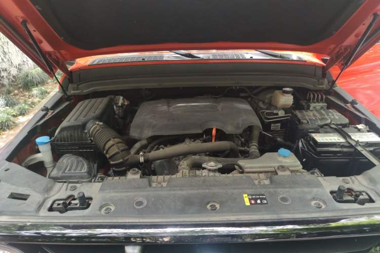 Used Tank 300 2021 Off-Road Edition 2.0T Conqueror Engine Bay