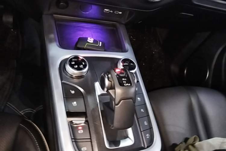Used Tank 300 2021 City Edition 2.0T—Truly Stylish Gear Lever