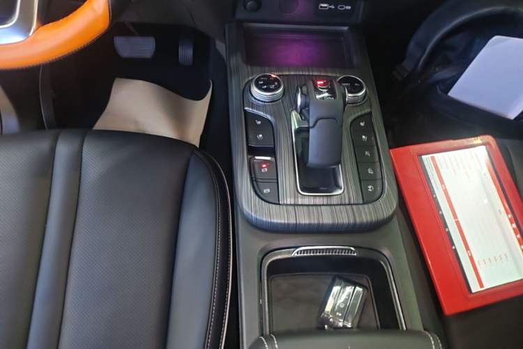 Used Tank 300 2021 City Edition 2.0T—Truly Stylish Gear Lever