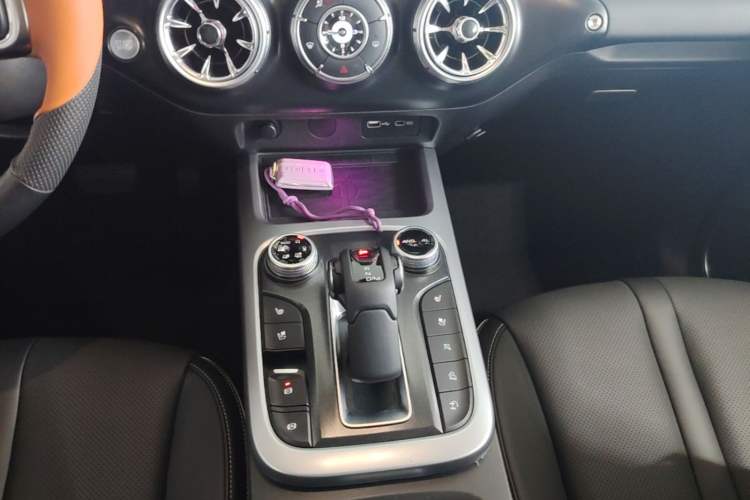 Used Tank 300 2021 City Edition 2.0T—Truly Stylish Gear Lever