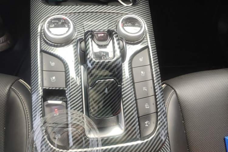 Used Tank 300 2021 City Edition 2.0T—Truly Stylish Gear Lever