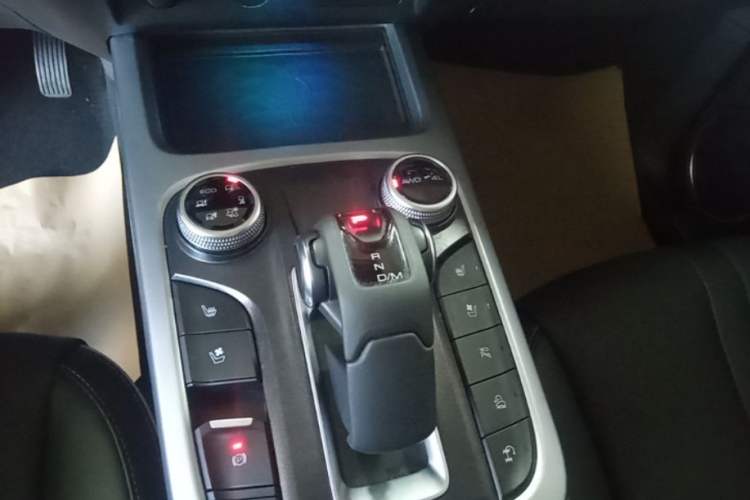 Used Tank 300 2021 City Edition 2.0T—Truly Stylish Gear Lever