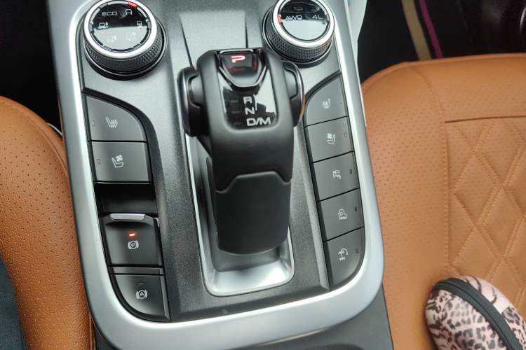 Used Tank 300 2021 City Edition 2.0T—Truly Stylish Gear Lever