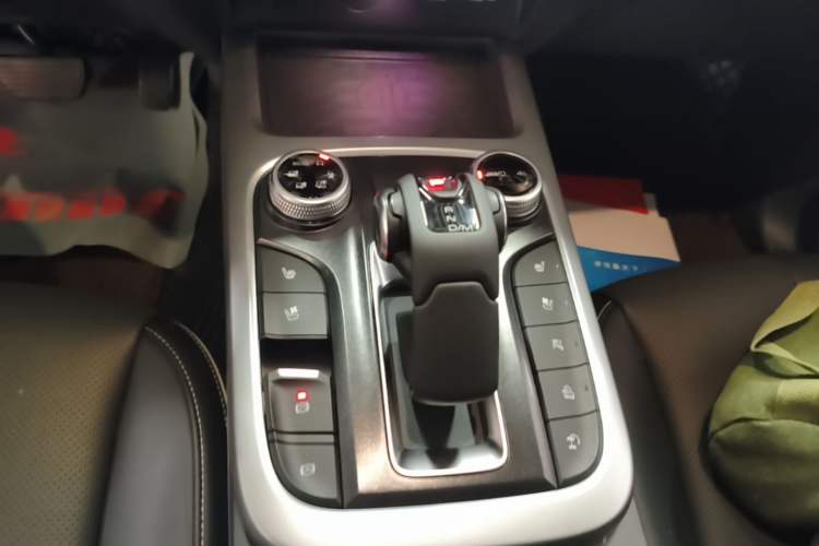 Used Tank 300 2021 City Edition 2.0T—Truly Stylish Gear Lever