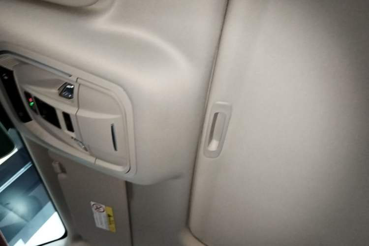 Used Tank 300 2021 City Edition 2.0T—Truly Stylish Headliner
