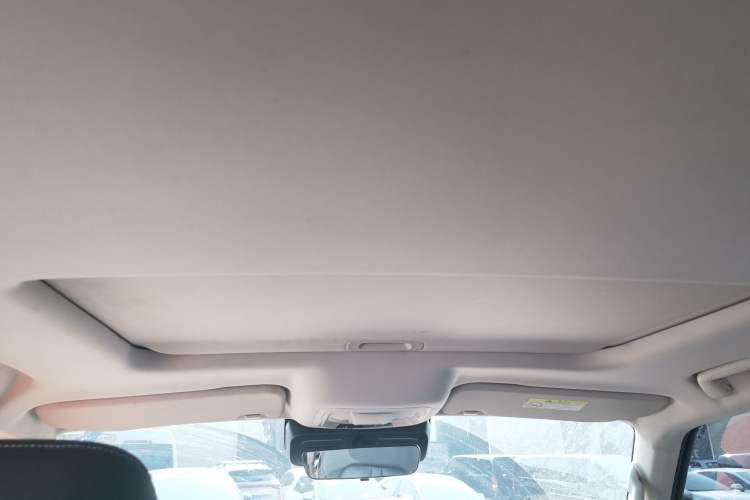 Used Tank 300 2021 Explorer 2.0T Off-Road Edition Headliner