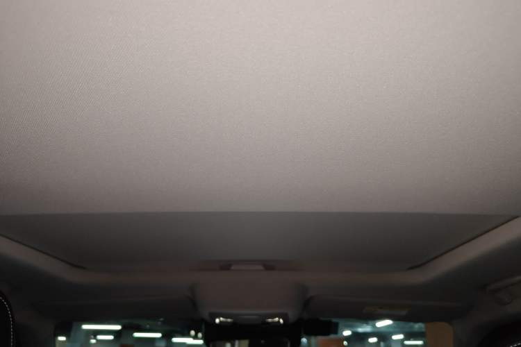 Used Tank 300 2021 Off-Road Edition 2.0T Challenger Headliner