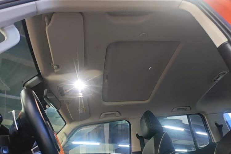 Used Tank 300 2021 City Edition 2.0T—Truly Stylish Headliner