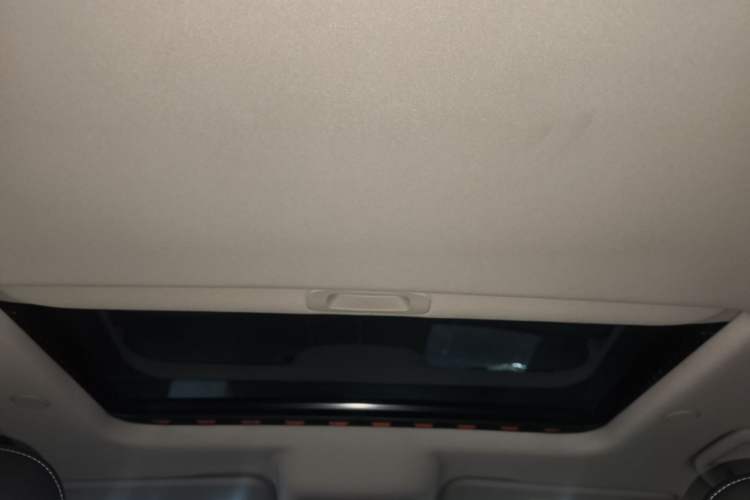 Used Tank 300 2021 City Edition 2.0T—Truly Stylish Headliner