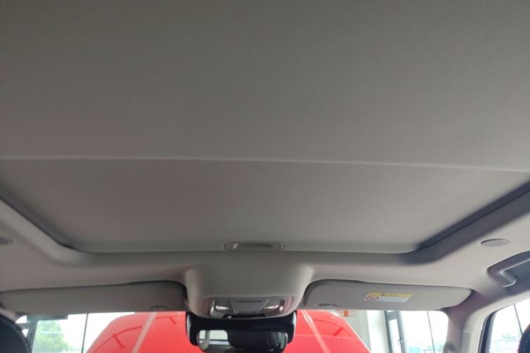 Used Tank 300 2021 City Edition 2.0T—Truly Stylish Headliner