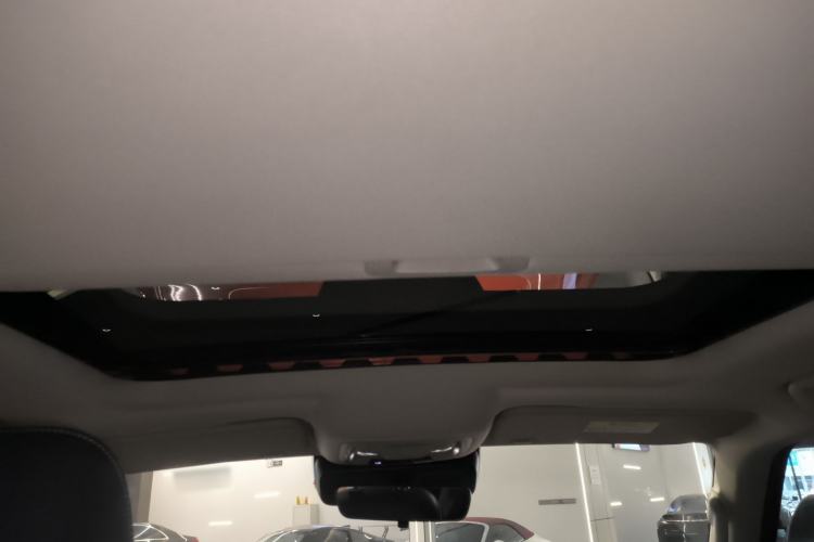 Used Tank 300 2021 Off-Road Edition 2.0T Conqueror Headliner