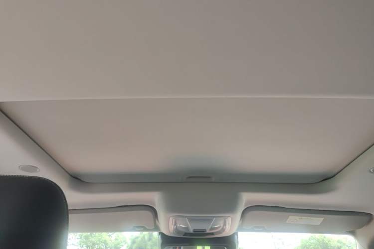Used Tank 300 2021 City Edition 2.0T—Truly Stylish Headliner