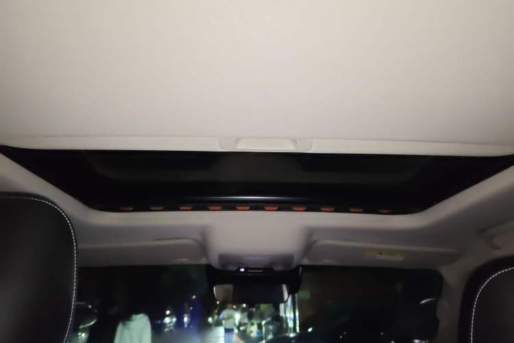 Used Tank 300 2021 Off-Road Edition 2.0T Conqueror Headliner