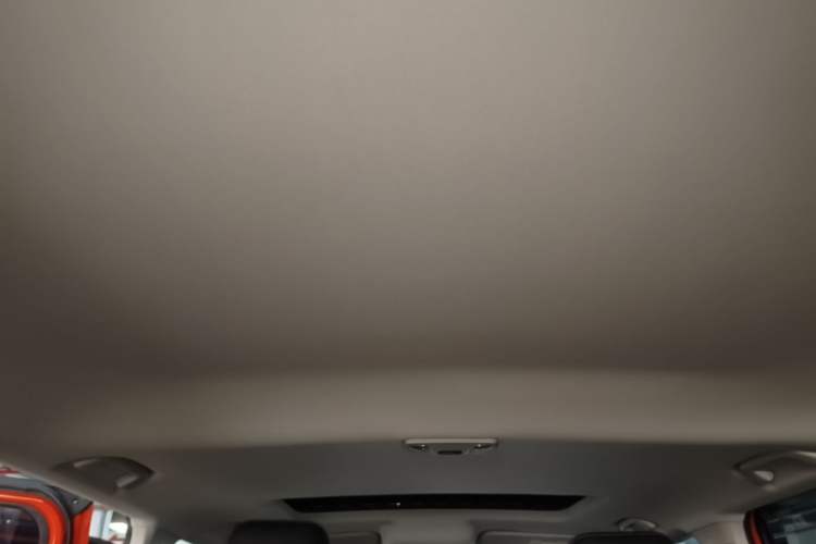 Used Tank 300 2021 Off-Road Edition 2.0T Conqueror Headliner
