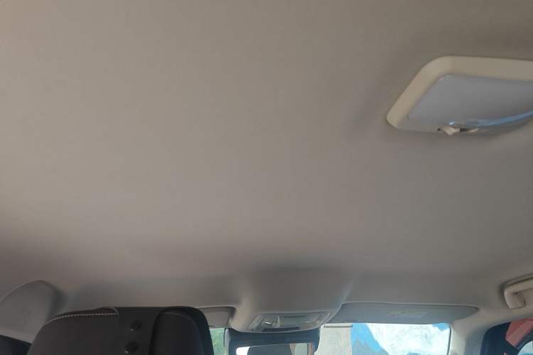Used Tank 300 2021 Explorer 2.0T Off-Road Edition Headliner