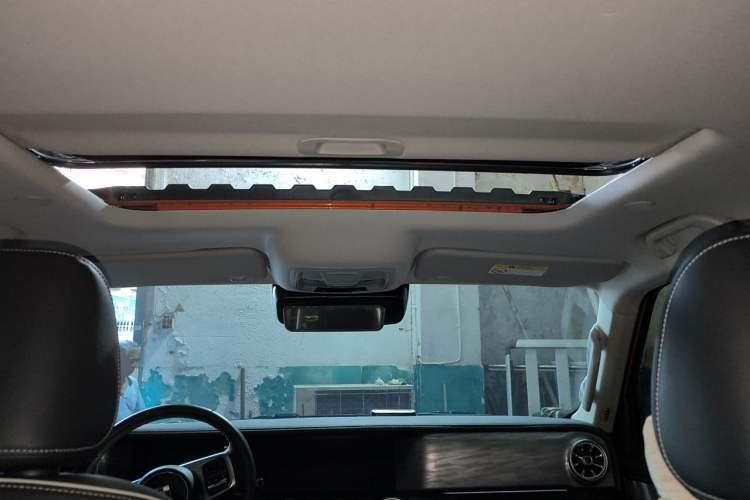 Used Tank 300 2021 City Edition 2.0T—Truly Stylish Headliner