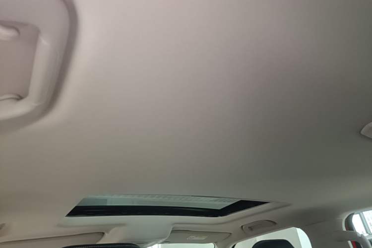 Used Tank 300 2021 Off-Road Edition 2.0T Conqueror Headliner