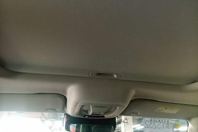 Used Tank 300 2021 City Edition 2.0T—Truly Stylish Headliner