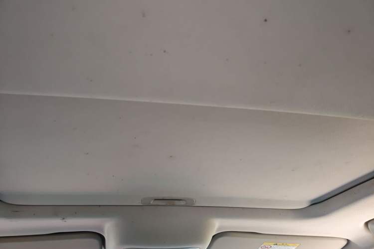 Used Tank 300 2021 Off-Road Edition 2.0T Conqueror Headliner