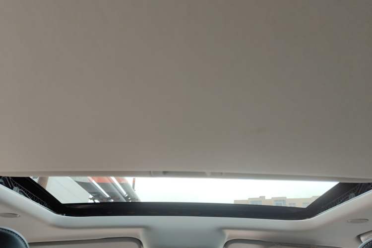 Used Tank 300 2021 City Edition 2.0T—Truly Stylish Headliner