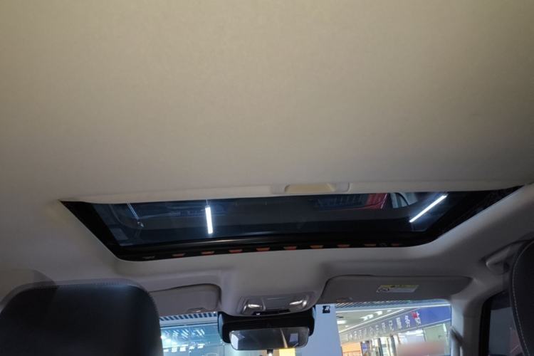 Used Tank 300 2021 Off-Road Edition 2.0T Conqueror Headliner