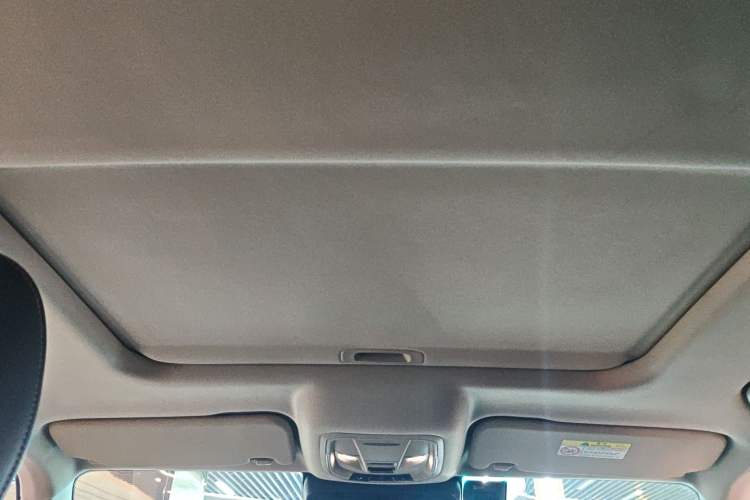 Used Tank 300 2021 Off-Road Edition 2.0T Conqueror Headliner