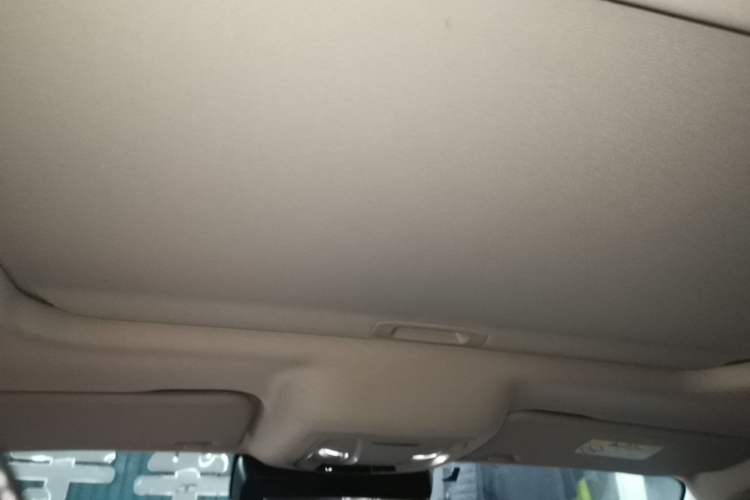 Used Tank 300 2021 Off-Road Edition 2.0T Conqueror Headliner
