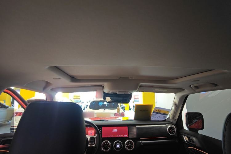 Used Tank 300 2021 City Edition 2.0T—Truly Stylish Headliner