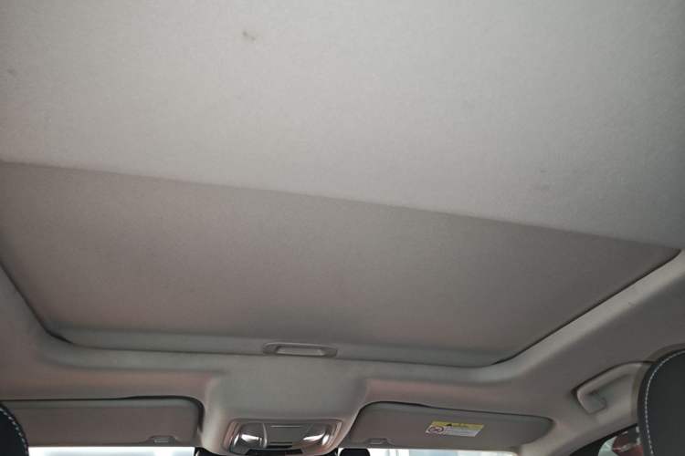 Used Tank 300 2021 Off-Road Edition 2.0T Conqueror Headliner