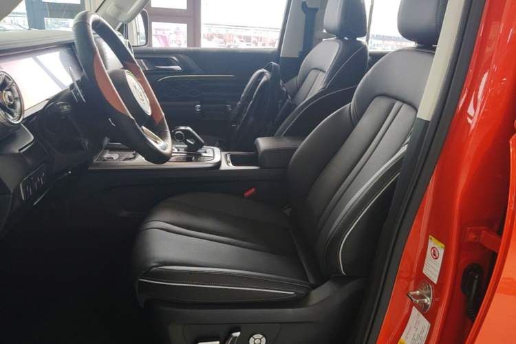 Used Tank 300 2021 City Edition 2.0T—Truly Stylish Left Front Seat