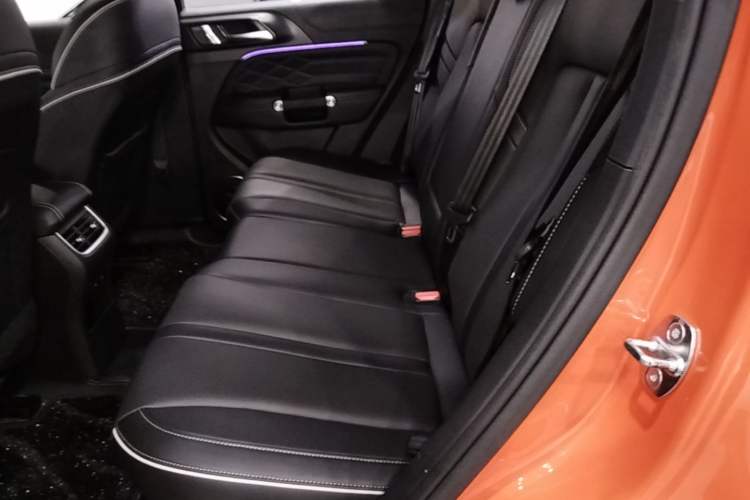 Used Tank 300 2021 City Edition 2.0T—Truly Stylish Left Rear Seat