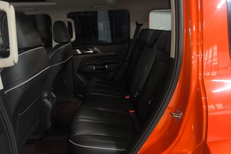 Used Tank 300 2021 City Edition 2.0T—Truly Stylish Left Rear Seat
