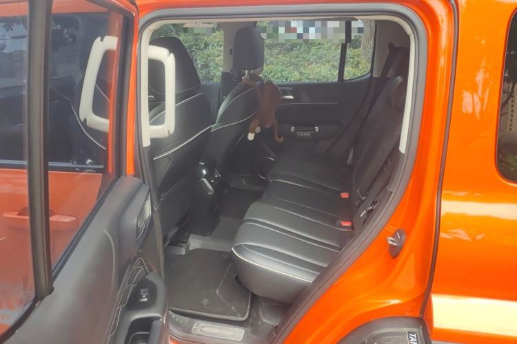 Used Tank 300 2021 City Edition 2.0T—Truly Stylish Left Rear Seat